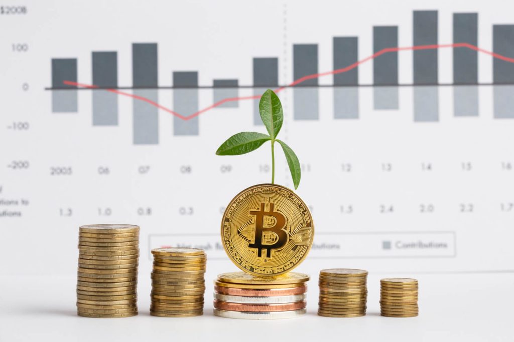 Mau HODLing Aset Crypto? Begini Caranya!