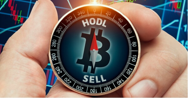 Mau HODLing Aset Kripto? Begini Caranya! hodl crypto
