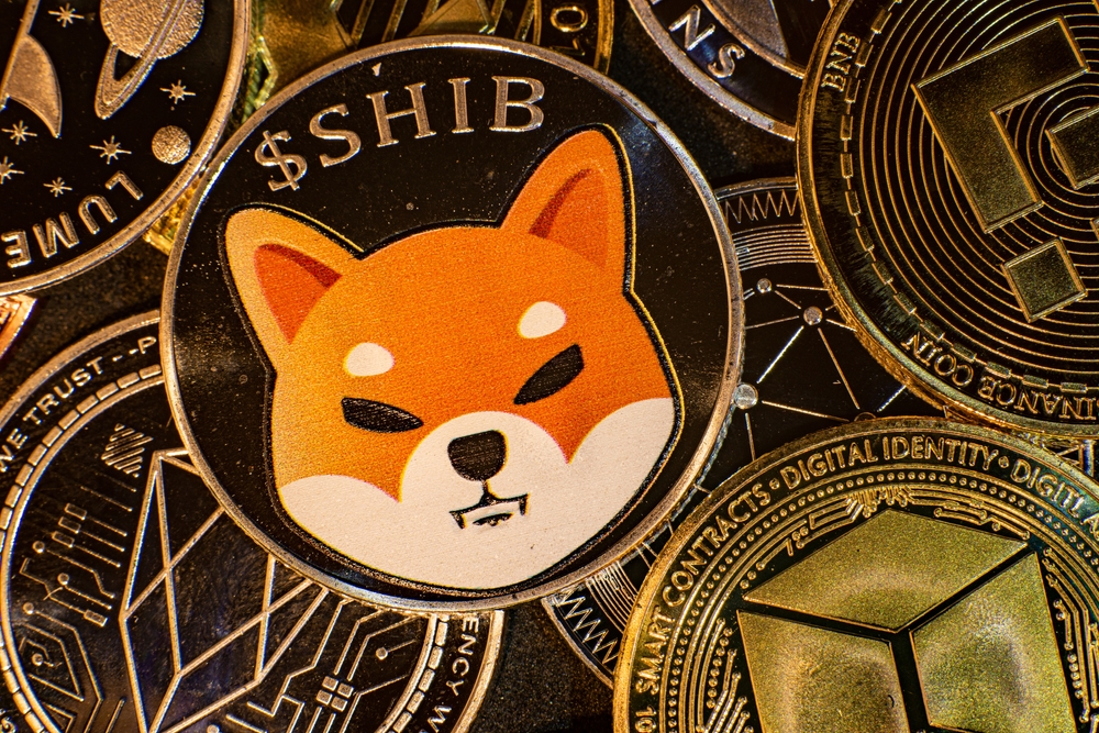 Shiba Inu Meroket 2,682% Tanpa Momentum Harga