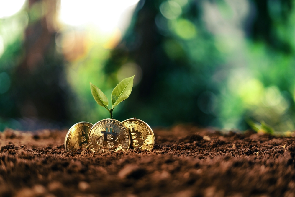 Bitcoin Berpotensi Lonjakan Menuju $90,000+ dengan Indikator Bullish
