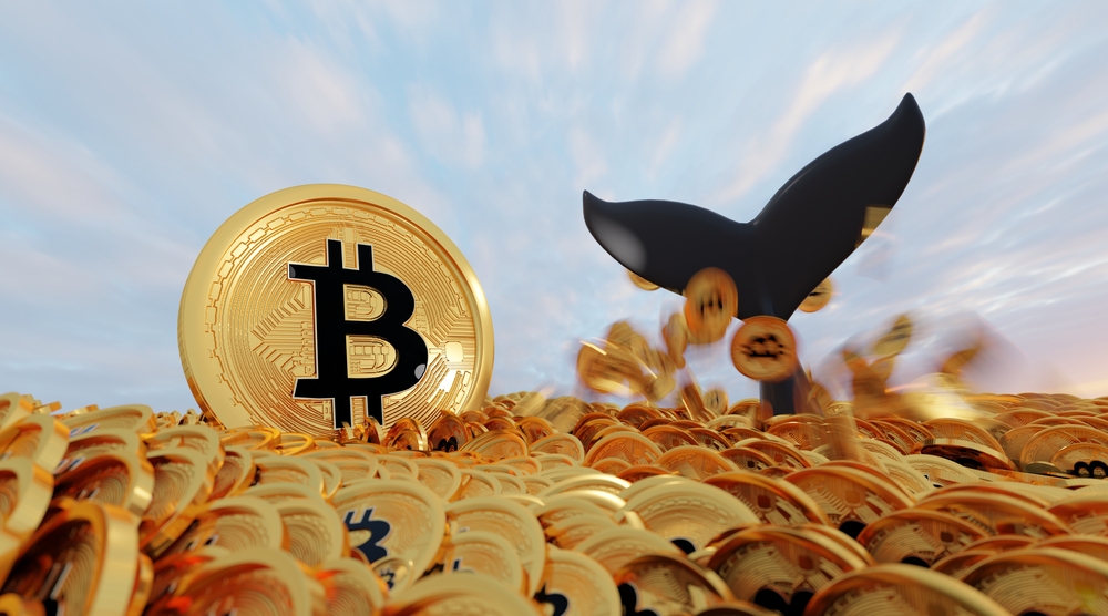Bitcoin Whale Memindahkan $206 Juta ke Binance Di Tengah Penurunan Pasar