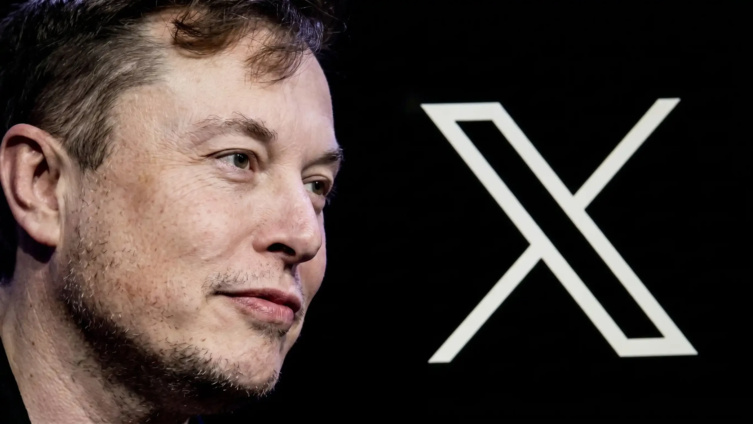 elon musk X