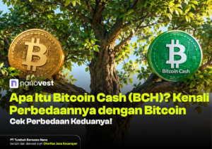 Nanovest header image: gold Bitcoin and green Bitcoin Cash coins in a tree with a bold Indonesian title about BCH vs Bitcoin.