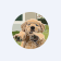 BUDDY