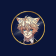 CATBOY