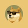 DOGE20