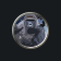 HARAMBE