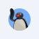 NOOT