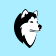WDOG